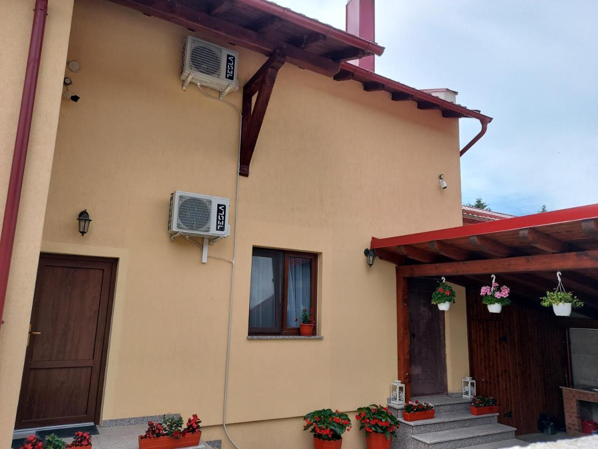 Hotel Casa Montis Borşa Zimmer foto